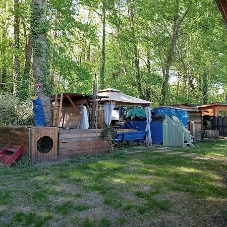 Maison 85m2 Calme Vue Sur Foret * 살레
